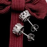 Boucles D'oreilles Zirconum - clou d'oreille