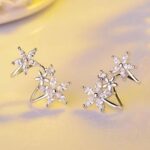 Clou d'oreille double étoiles